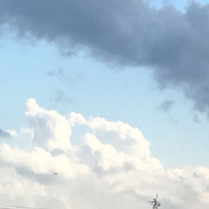 Meet your Posher, Dayonna